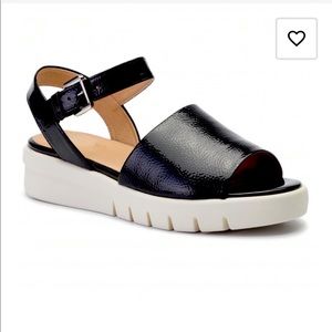 GEOX Respira D Wimbley Sandals In Black